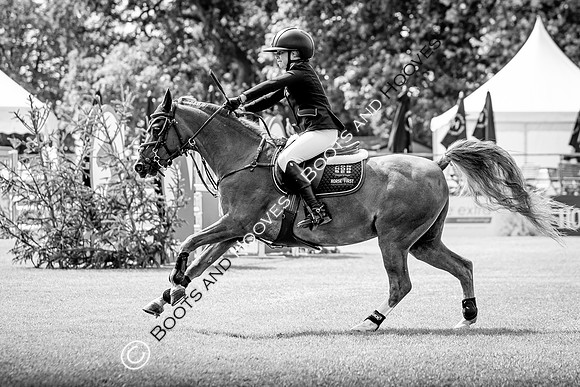 The Agria Royal International Horse Show