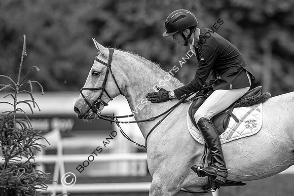 Showjumping
