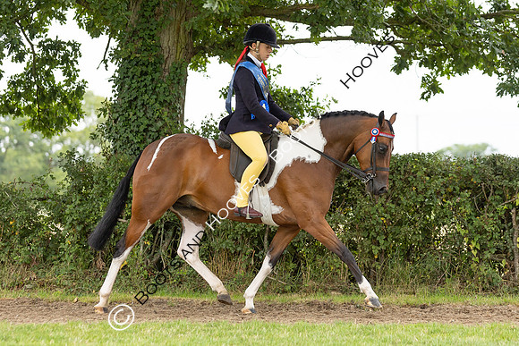 The Royal International Horse Show