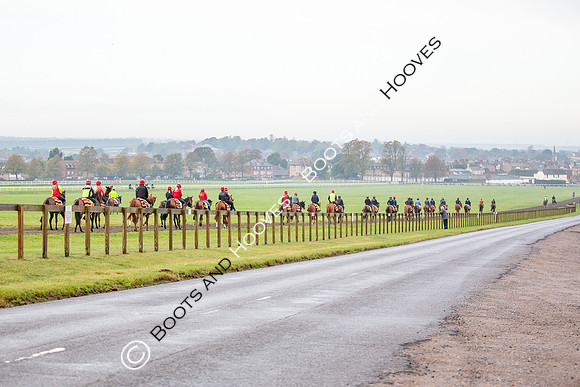 Newmarket