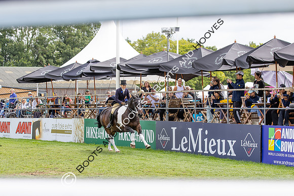 The Agria Royal International Horse Show