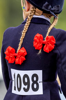 The Agria Royal International Horse Show
