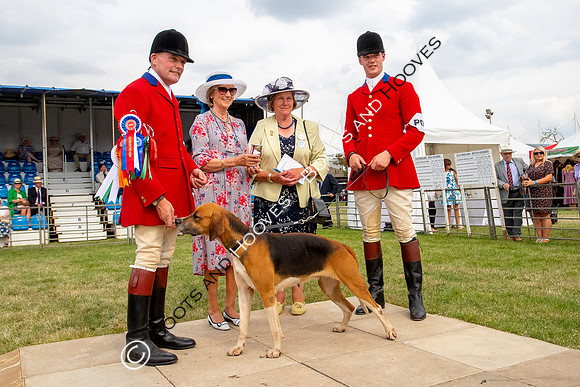 Festival of Hunting