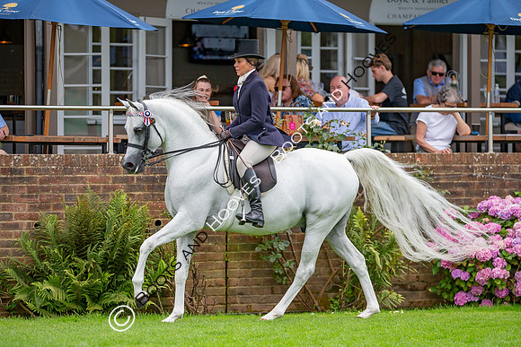 The AGRIA Royal International Horse Show