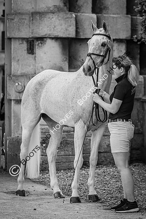 Badminton Horse Trials
