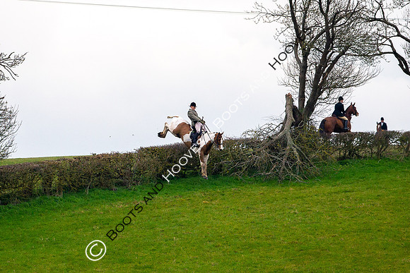 The Ledbury Hunt