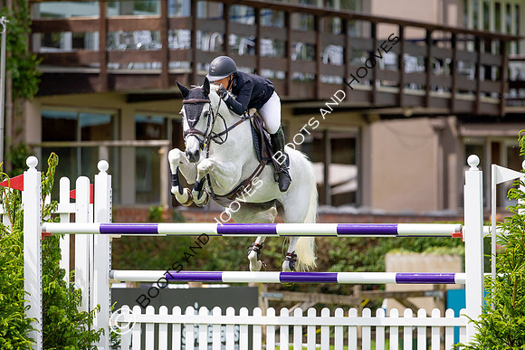 Showjumping