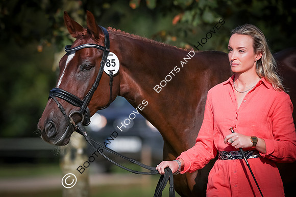 Blenheim Palace International Horse Trials