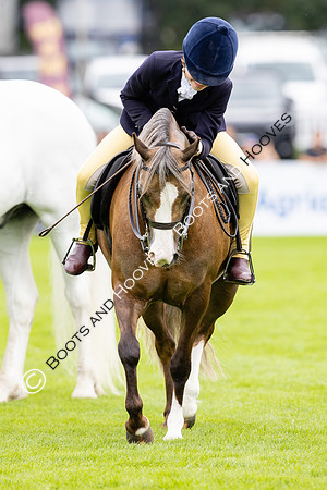 The Agria Royal International Horse Show