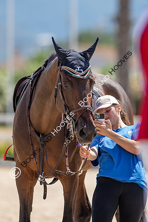 FEI Junior European Championship Young Riders, Juniors & Childre