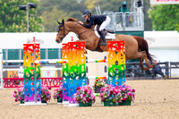 Royal Windsor Horse Show