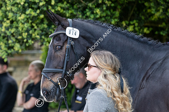 Badminton Horse Trials