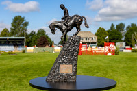 The Al Shira'aa Hickstead Derby Meeting