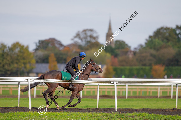 Newmarket