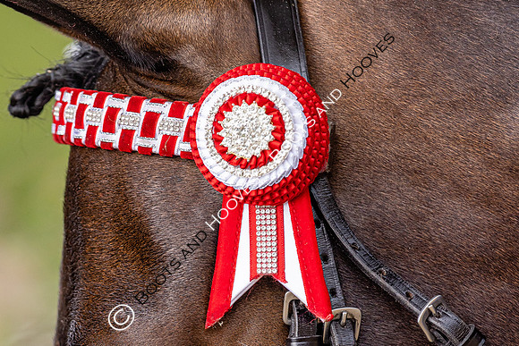 The Agria Royal International Horse Show