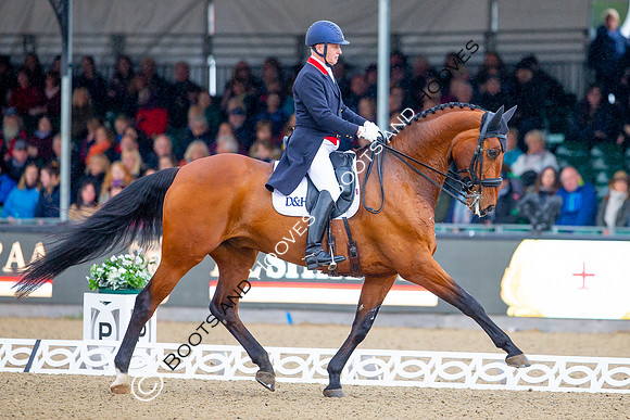 Royal Windsor Horse Show