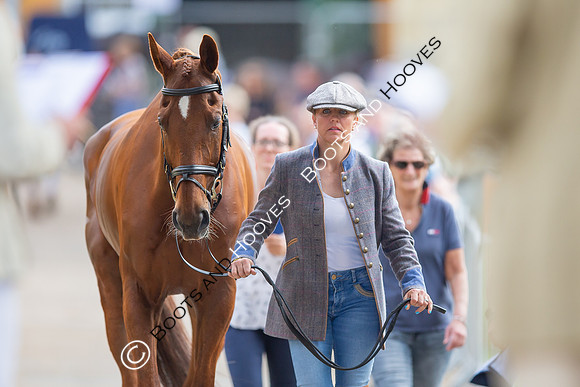 Badminton Horse Trials
