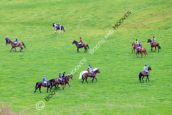 Hunt Ride