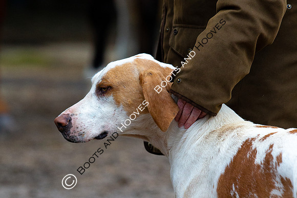 The Ledbury Hunt
