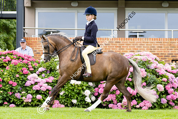 The Agria Royal International Horse Show