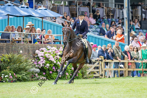 The Agria Royal International Horse Show