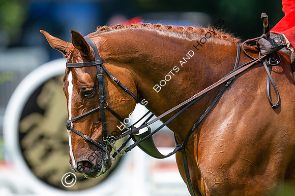 The AGRIA Royal International Horse Show