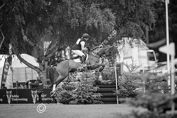 The AGRIA Royal International Horse Show