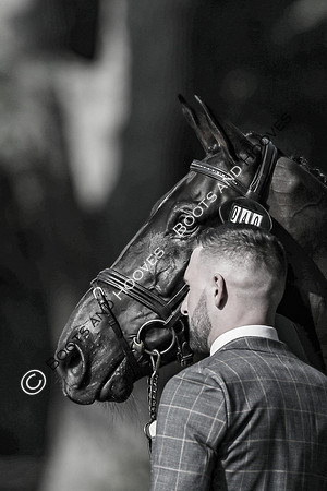 Blenheim Palace International Horse Trials
