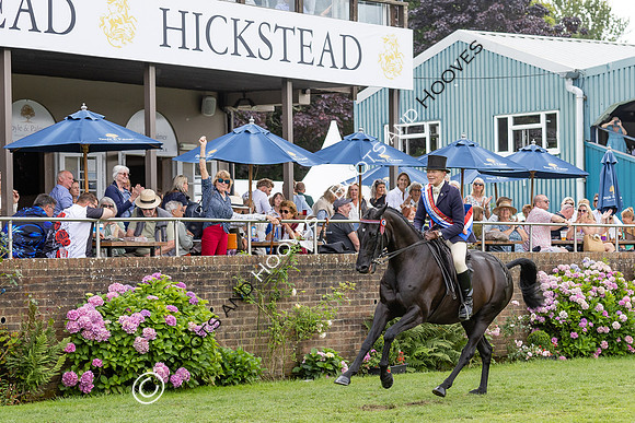 The Agria Royal International Horse Show