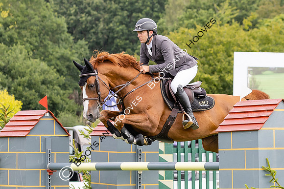 The Agria Royal International Horse Show