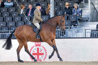 Royal Windsor Horse Show