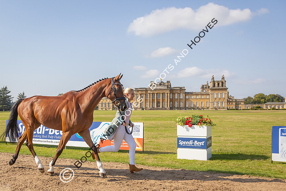 Blenheim Palace International Horse Trials