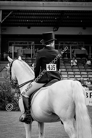The Agria Royal International Horse Show