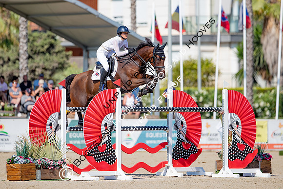 FEI Junior European Championship Young Riders, Juniors & Childre
