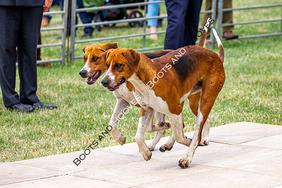Festival of Hunting