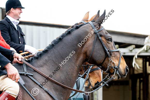 The Ledbury Hunt