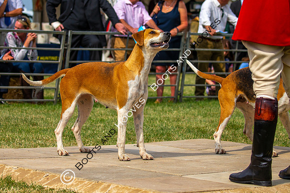 Festival of Hunting