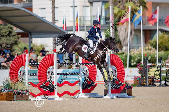 FEI Junior European Championship Young Riders, Juniors & Childre
