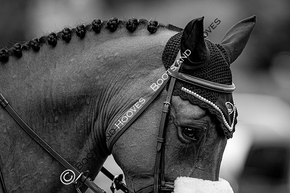 The Prenetics Royal International Horse Show