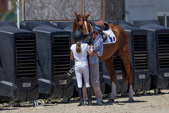 FEI Junior European Championship Young Riders, Juniors & Childre