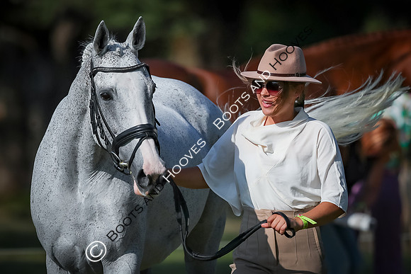 Blenheim Palace International Horse Trials