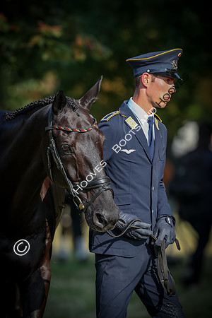 Blenheim Palace International Horse Trials