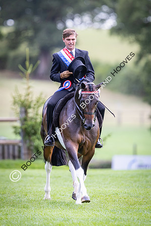 The Royal International Horse Show