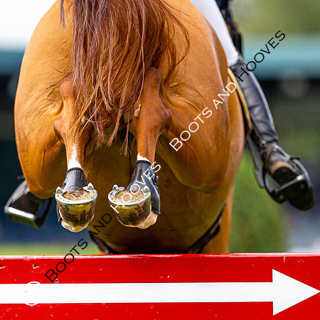 Showjumping