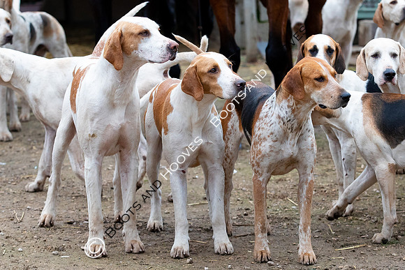 The Ledbury Hunt