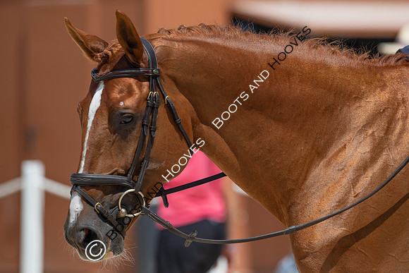 FEI Junior European Championship Young Riders, Juniors & Childre