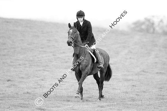 The Ledbury Hunt