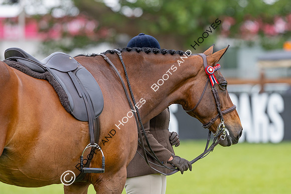 Royal Windsor Horse Show