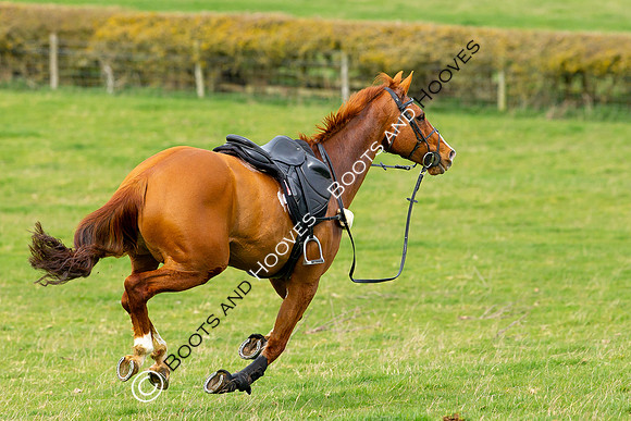 Hunt Ride