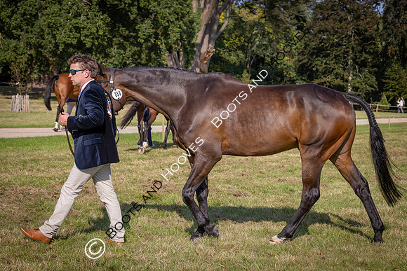 Blenheim Palace International Horse Trials